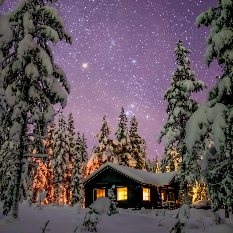 Tunturilapin Tuvat Villa Muonio Bagian luar foto